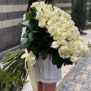 101 біла метрова троянда