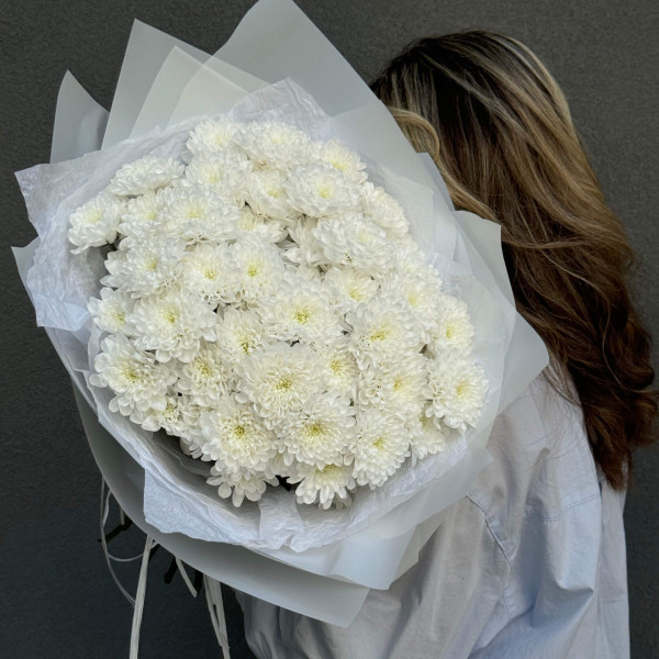 Білі хризонтеми Altai