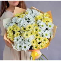 Chrysanthemums are white and yellow