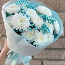 Chrysanthemum mix 2