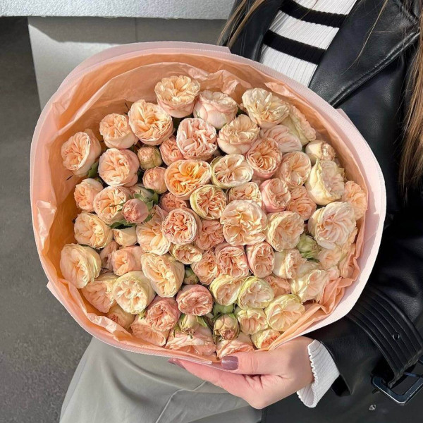 15 кущових персикових троянд 