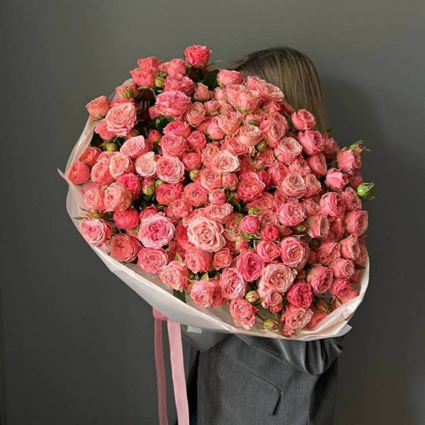 51 кущова троянда сорту "Мадам Бомбастік" 