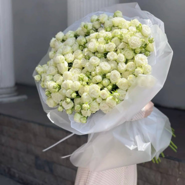 Кущова Міс Бомбастик