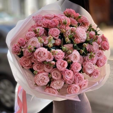 11 bush roses of the "Madame Bombastic" variety