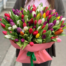 101 різнокольоровий тюльпан 