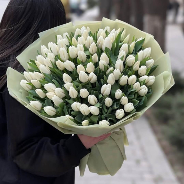 101 білий тюльпан