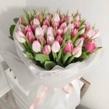 101 білий та рожевий тюльпан 