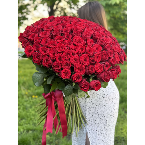 151 ред наомі 